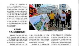 晋江媒体爆料最新消息,揭秘娱乐圈最新热点事件